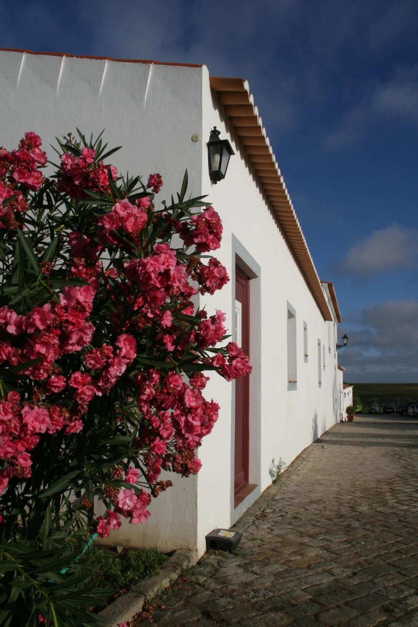 Monte Da Morena Agro-Turismo Serpa Eksteriør bilde